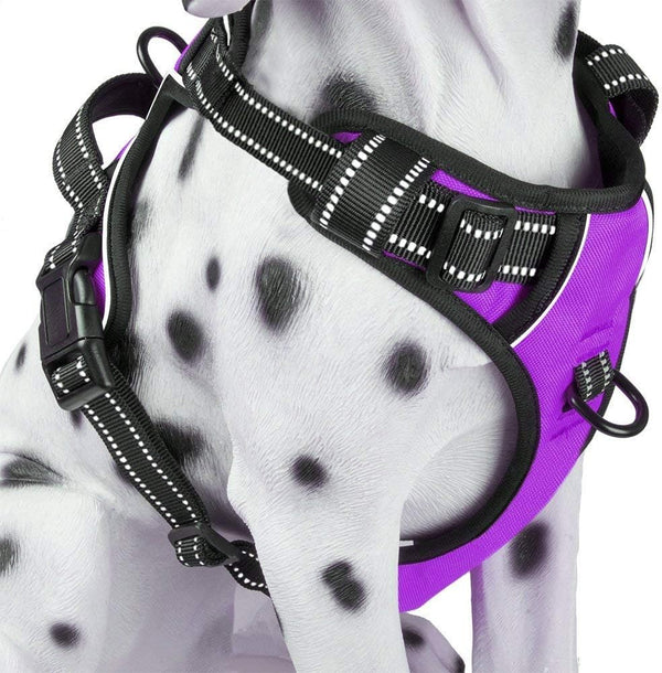 Poypet No Pull Dog Harness, Reflective Comfortable Vest Harness with Front & Back 2 Leash Attachments and Easy Control Handle Adjustable Soft Padded Pet Vest for Small Medium Large Dogs (Mint Blue,M)20
