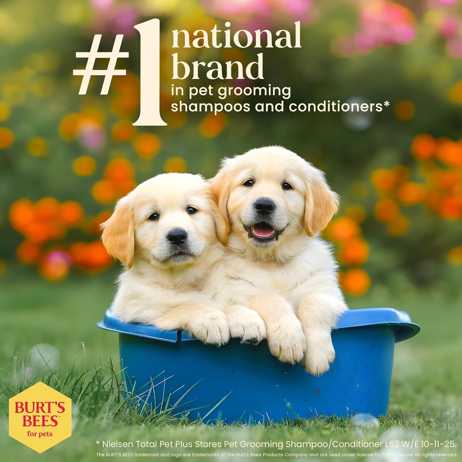 burt-s-bees-for-pets-tear-free-puppy-shampoo-conditioner-with-buttermilk-2-in-1-gentle-dog-shampoo-for-puppies-cleans-and-conditions-sensitive-skin-16-fl-oz-gentle-2-in-1-formula-cleans-and-conditions-sensitive-puppy-skin-and-coat-tearless-for-easy-bath-time