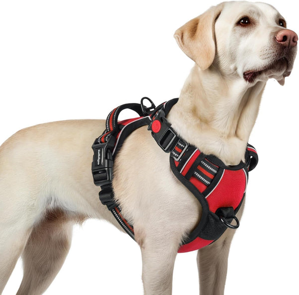 Rabbitgoo Dog Harness Medium Sized, Updated Easy on & off with 3 Buckles | No Pull No Choke, Walking with 2 Clips and Handle, Adjustable Soft Reflective, Blue, Medium14