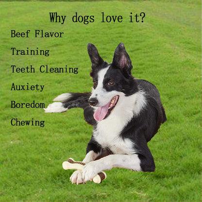 Dog Chew Toys for Aggressive Chewers Large Breed,2 Pack Beef Flavor Indestructible Dog Teething Chew Toys Bones for Large/Medium/Small Puppies,Pet Toy with Nylon2