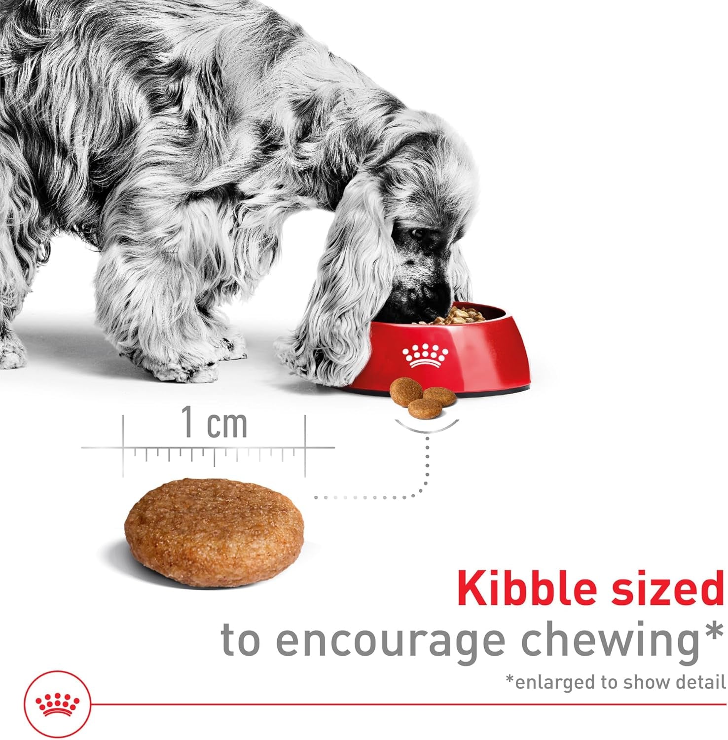 royal-canin-size-health-nutrition-medium-adult-dry-dog-food-17-lb-bag