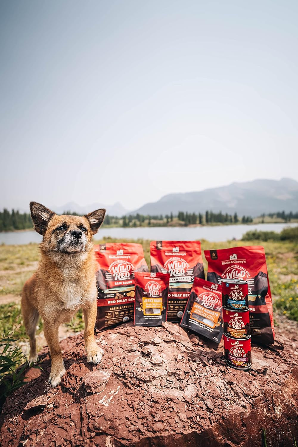 stella-chewys-wild-red-blend-gf-red-meat-dry-dog-food-3-5-lb