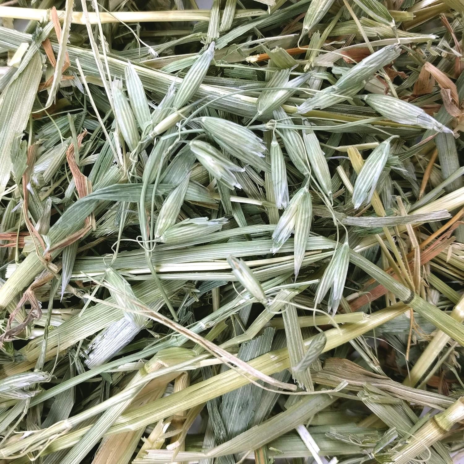 oxbow-oat-hay-rabbit-guinea-pig-hay-high-fiber-for-digestive-health-grown-in-the-usa-veterinarian-recommended-small-pet-supplies-for-rabbits-guinea-pigs-chinchillas-15-oz-oxbow-oat-hay-bunny-hay-for-rabbits-guinea-pigs-bunnies-and-chinchillas-hand-sorted-de-dusted-made-in-usa