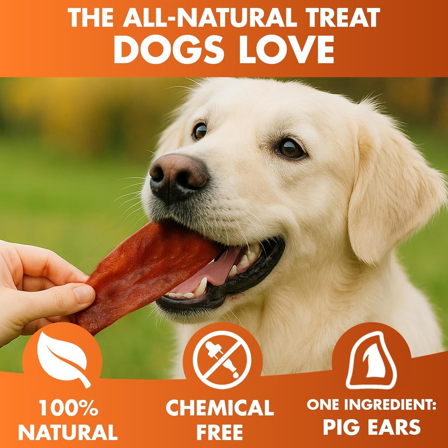 brutus-barnaby-whole-pig-ears-for-dogs-12-ct-all-natural-single-ingredient-dog-chews-slow-cooked-fully-digestible-rawhide-alternative