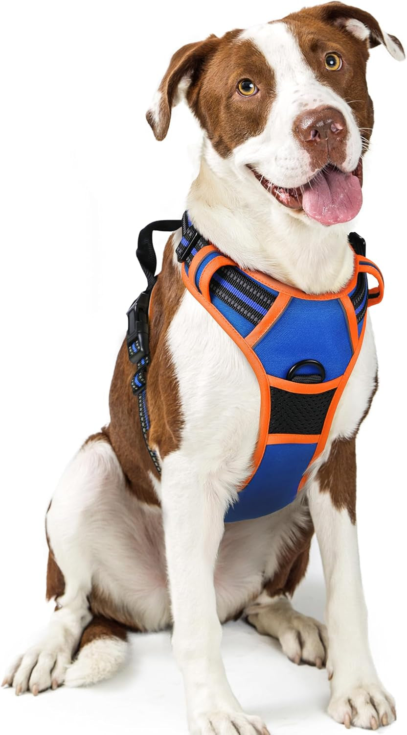 rabbitgoo-dog-harness-no-pull-for-large-dogs-with-2-leash-clips-pet-vest-no-choke-with-handle-adjustable-soft-padded-reflective-easy-control-for-walking-black-large