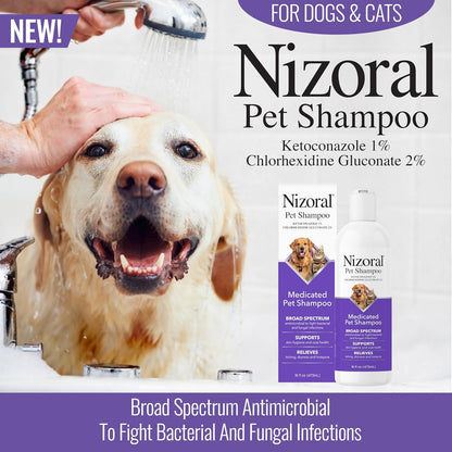 Nizoral Ketoconazole Pet Shampoo for Dogs and Cats, 16 Oz, 1% Ketoconazole, 2% Chlorhexidine Gluconate, Antifungal, Antimicrobial Support, Skin Health, Odor Control, Dog Itching Skin Relief Shampoo2