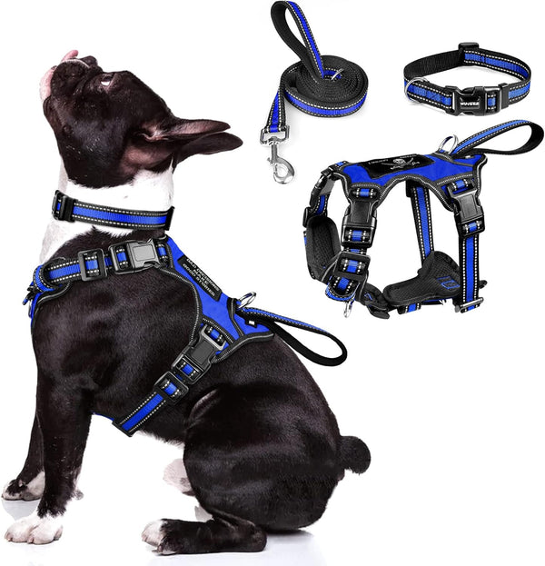 WINSEE Pet Harness Collar and Leash Set, All-In-One Reflective Dog Harness No Pull with Adjustable Buckles for Puppies, Small, Medium, Large, and Extra-Large Dogs (Large, Pink)14