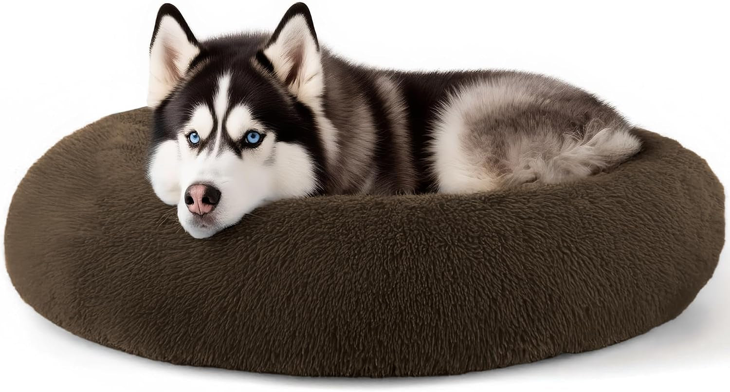 hoewina-dog-cat-bed-for-indoor-cats-20in-calming-donut-bed-for-puppy-and-kitten-washable-round-fluffy-pet-bed-for-small-medium-dogs-and-cats-light-grey