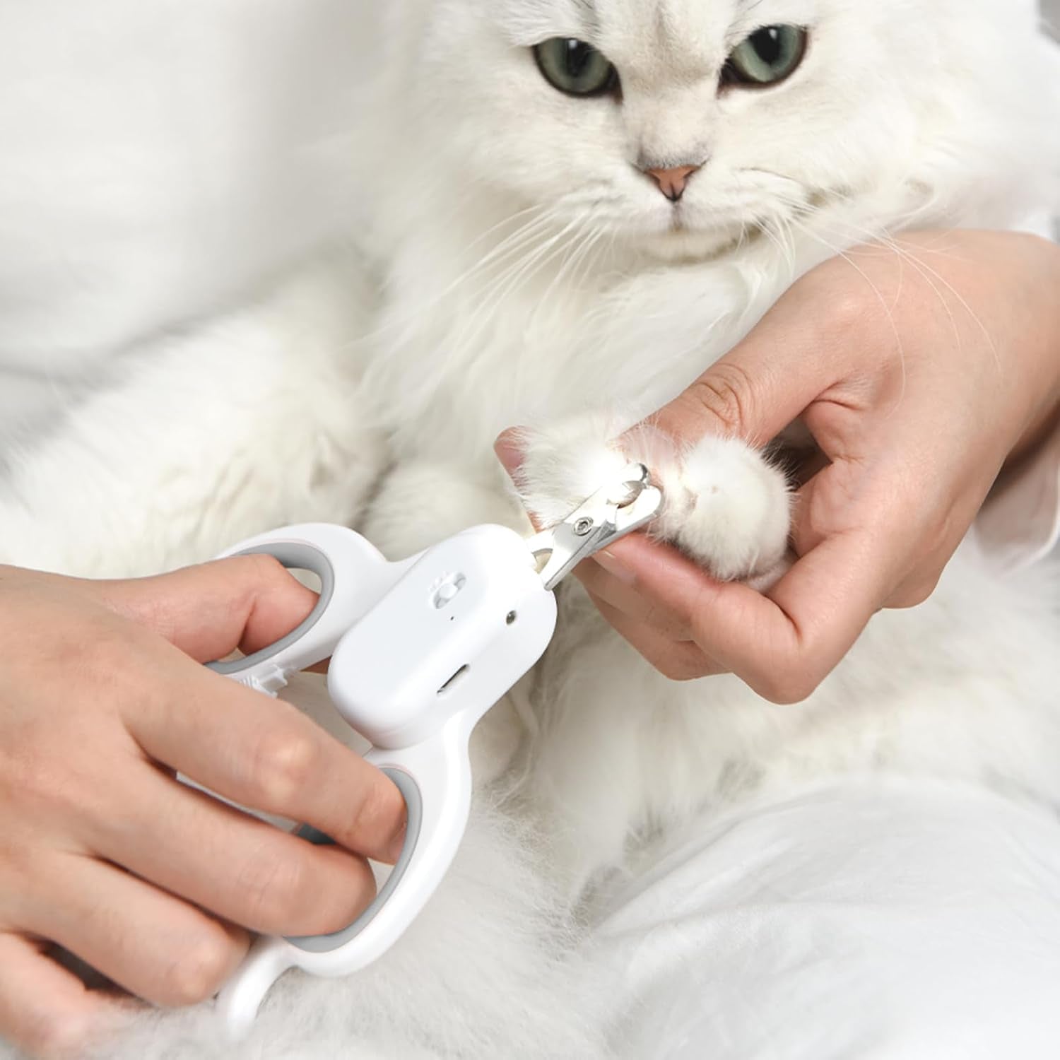 pakeway-pet-nail-clipper-with-led-u-v-light-cat-claw-trimmer-with-ultra-bright-led-light-for-nail-bloodline-to-avoid-over-cutting-sharp-angled-blade-grooming-tool-for-dog-cat-rabbit-small-animals