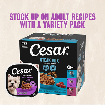 Cesar Filets in Gravy Wet Dog Food, Filet Mignon Flavor, 3.5 Oz, 24 Count | Real Beef, Easy to Digest, No Fillers, No Added Sugar, No Artificial Flavors, Slow-Cooked Tender Texture, Easy Peel Trays12
