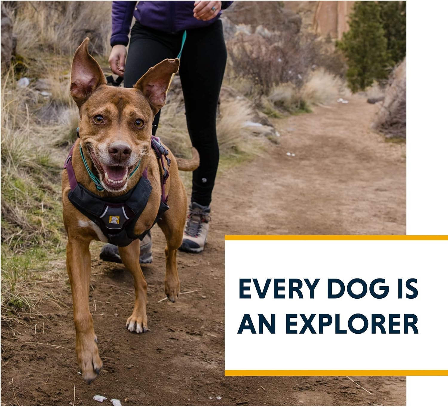 ruffwear-web-master-multi-use-support-dog-harness-hiking-and-trail-running-service-and-working-everyday-wear-basalt-gray-x-small