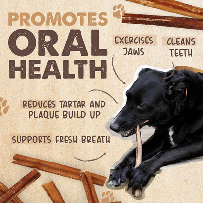 Mighty Paw 12" Bully Sticks for Dogs - Large, Medium and Small Breeds Chew | Single Ingredient, Grass-Fed, Lower Odor, 5 Pack, High Protein, Boredom Buster, All-Natural Sticks7