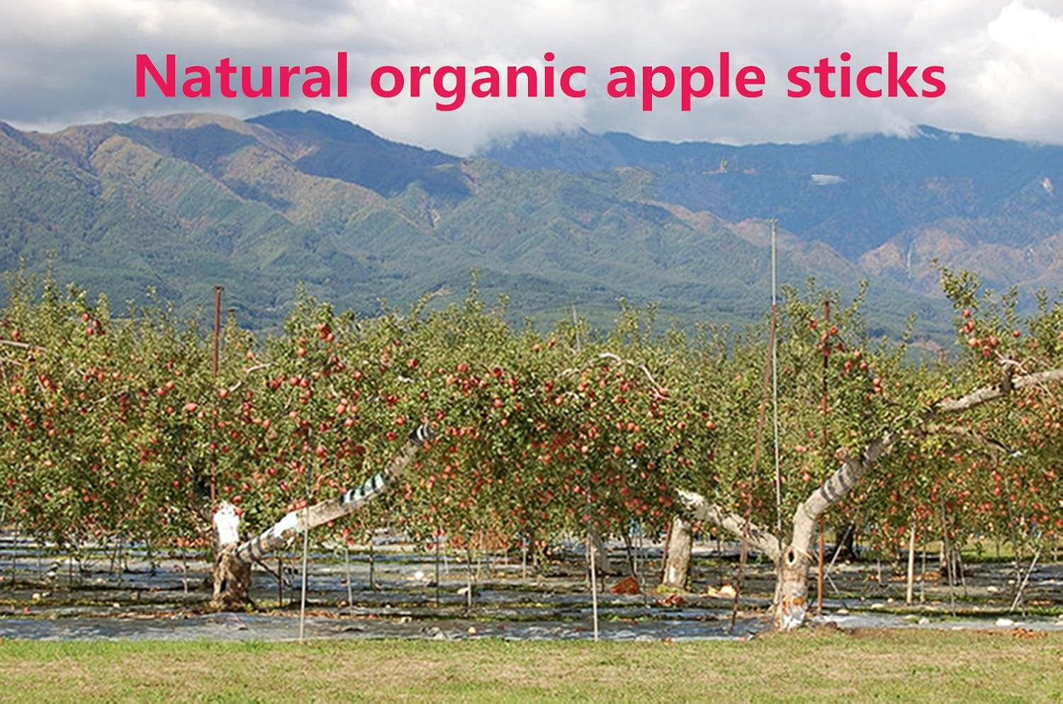 sharllen-100g-3-5oz-apple-sticks-pet-snacks-chew-toys-for-guinea-pigs-chinchilla-squirrel-rabbits-hamster
