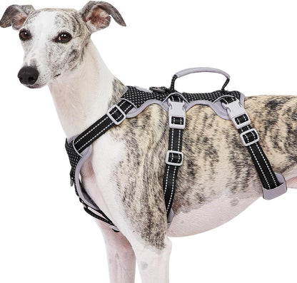 Huntboo Escape Proof Harness, No Slip Dog Harness Escape Proof, Fully Reflective Harness with Handle, Breathable, Durable, Adjustable Vest for Medium Dogs Walking and Training Gear (Black, M)17