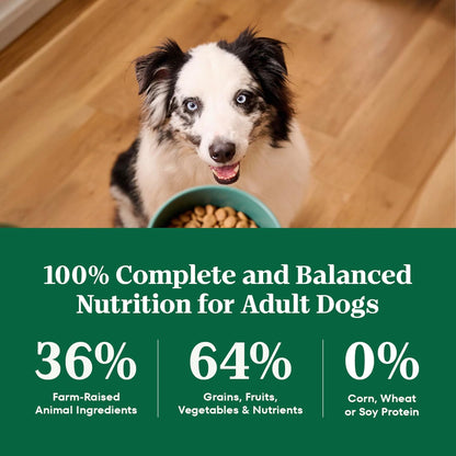 Nutro Natural Choice Healthy Weight Dry Dog Food, Chicken & Rice, 30 Lb | Non-Gmo, Chicken #1 Ingredient, No Corn, Wheat, Soy, Supports Weight Loss, Skin & Coat, Digestive & Immune Health8