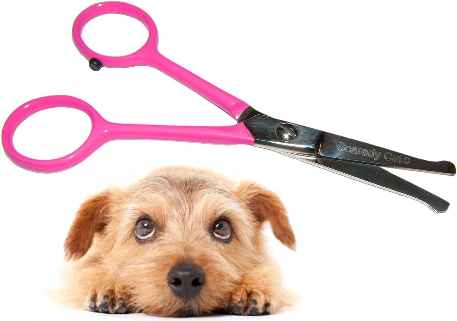 tiny-trim-4-5-ball-tipped-scissor-for-dog-cat-and-all-pet-grooming-ear-nose-face-paw-scaredy-cuts-small-safety-scissor-blue