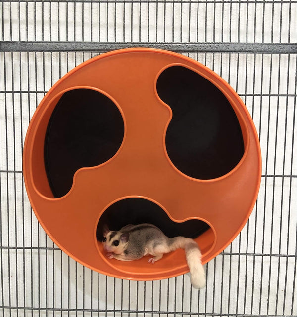 Silent Runner 12" Regular | Wheel + Cage Attachment | Sugar Gliders, Hamsters, Rats3