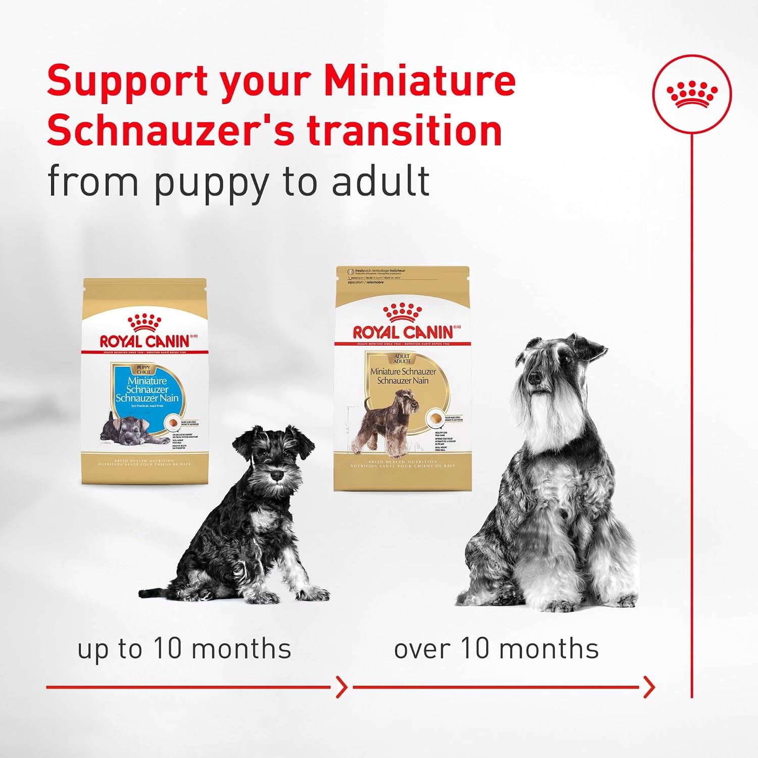 royal-canin-breed-health-nutrition-miniature-schnauzer-adult-dry-dog-food-10-lb-bag