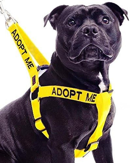 ADOPT ME Yellow Color Coded L-XL Non-Pull Dog Harness (New Home Needed) Donate to Your Local Charity2