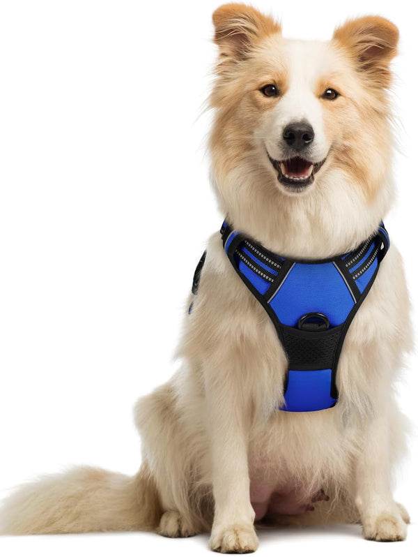 Rabbitgoo Dog Harness, No Pull for Large Dogs with 2 Leash Clips, Pet Vest | No Choke with Handle, Adjustable Soft Padded, Reflective, Easy Control for Walking, Black, Large107
