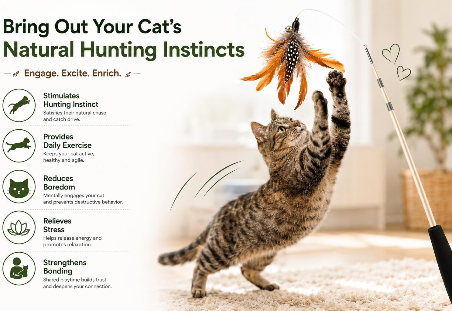 cat-toys-no-chemical-dyeing-cat-feather-toys-for-indoor-cats-include-cat-wand-and-natural-feather-refills