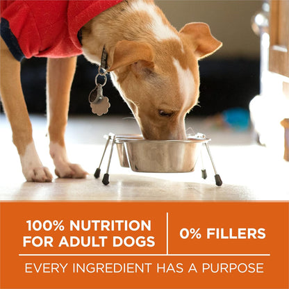 Purina ONE plus Healthy Weight High-Protein Dog Food Dry Formula - 31.1 Lb. Bag8