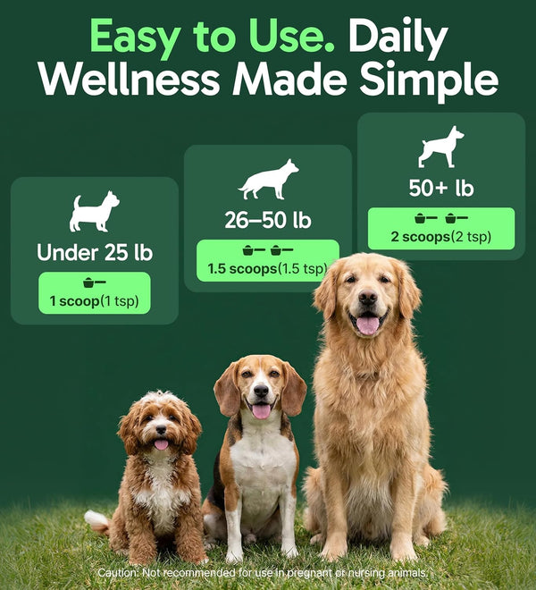 K9 Immune, All-Natural Mushroom Powder for Dogs for Immunity, Digestion, Joints, & Energy, Antioxidant-Rich & Usa-Made, Dog Immune Support with Turkey Tail Mushroom for Dogs, 30 Servings4