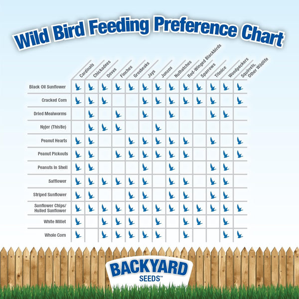 Countrymax Backyard Seeds Squirrel and Friends Wildlife Feed – 20 Lb Non-Gmo Mix for Squirrels, Deer, Birds, Rabbits, Chipmunks & More – All-Natural Backyard Animal Food6