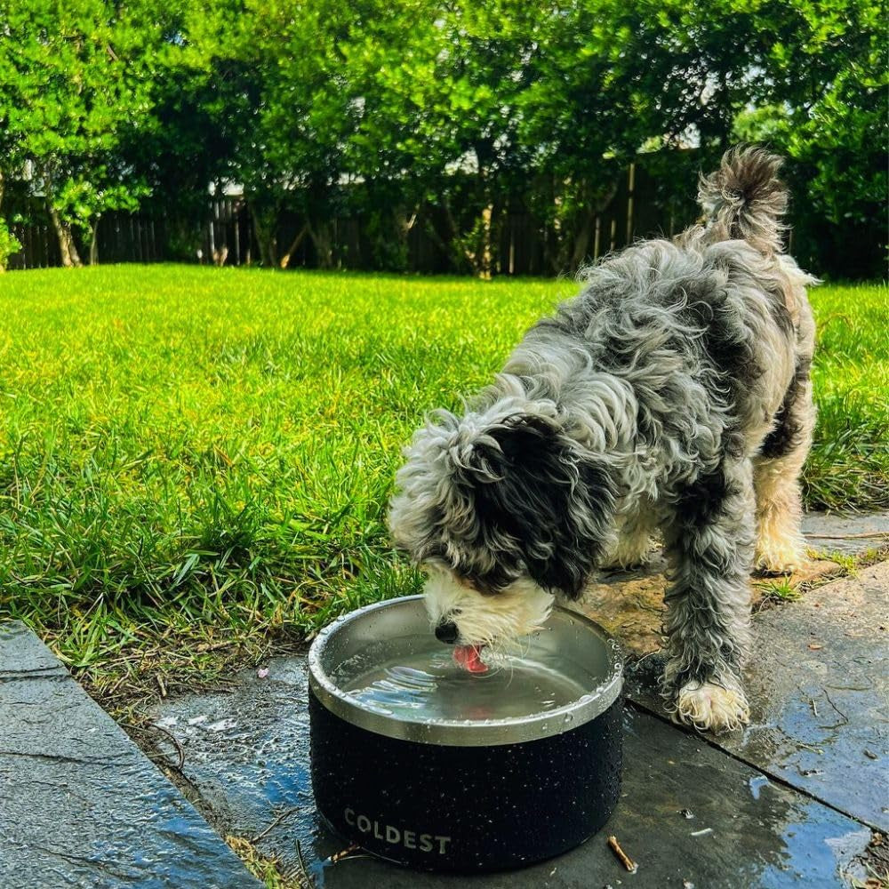 coldest-dog-bowl-anti-rust-metal-non-slip-3-layers-insulated-stainless-steel-dog-bowls-spill-proof-heavy-duty-water-bowl-for-dogs-cats-dish-washer-safe-21-oz-polished-stainless-steel