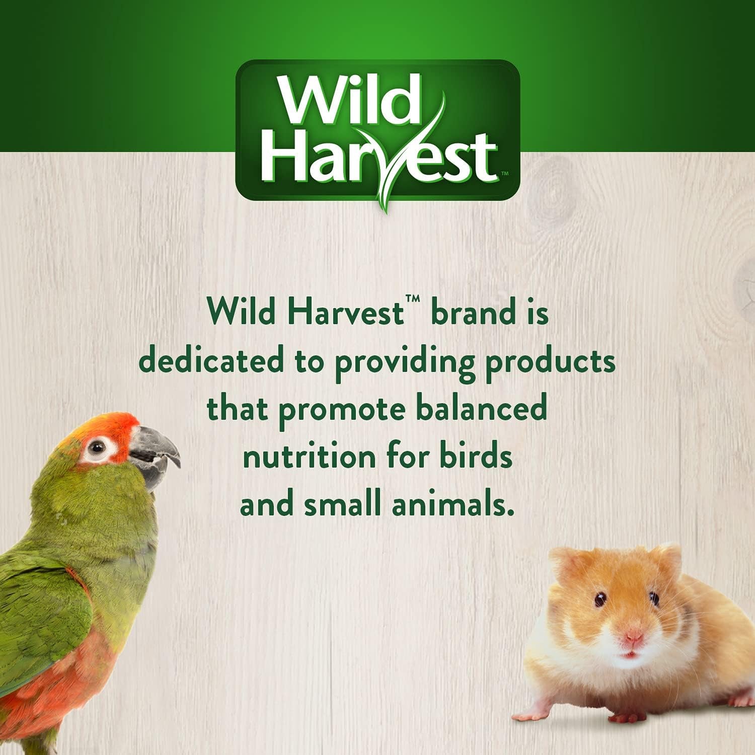 wild-harvest®-foraging-instincts-roll-n-play-interactive-treat-3-count-for-pet-mice-rats-hamsters-and-gerbils-2-30-ounce-pack-of-1