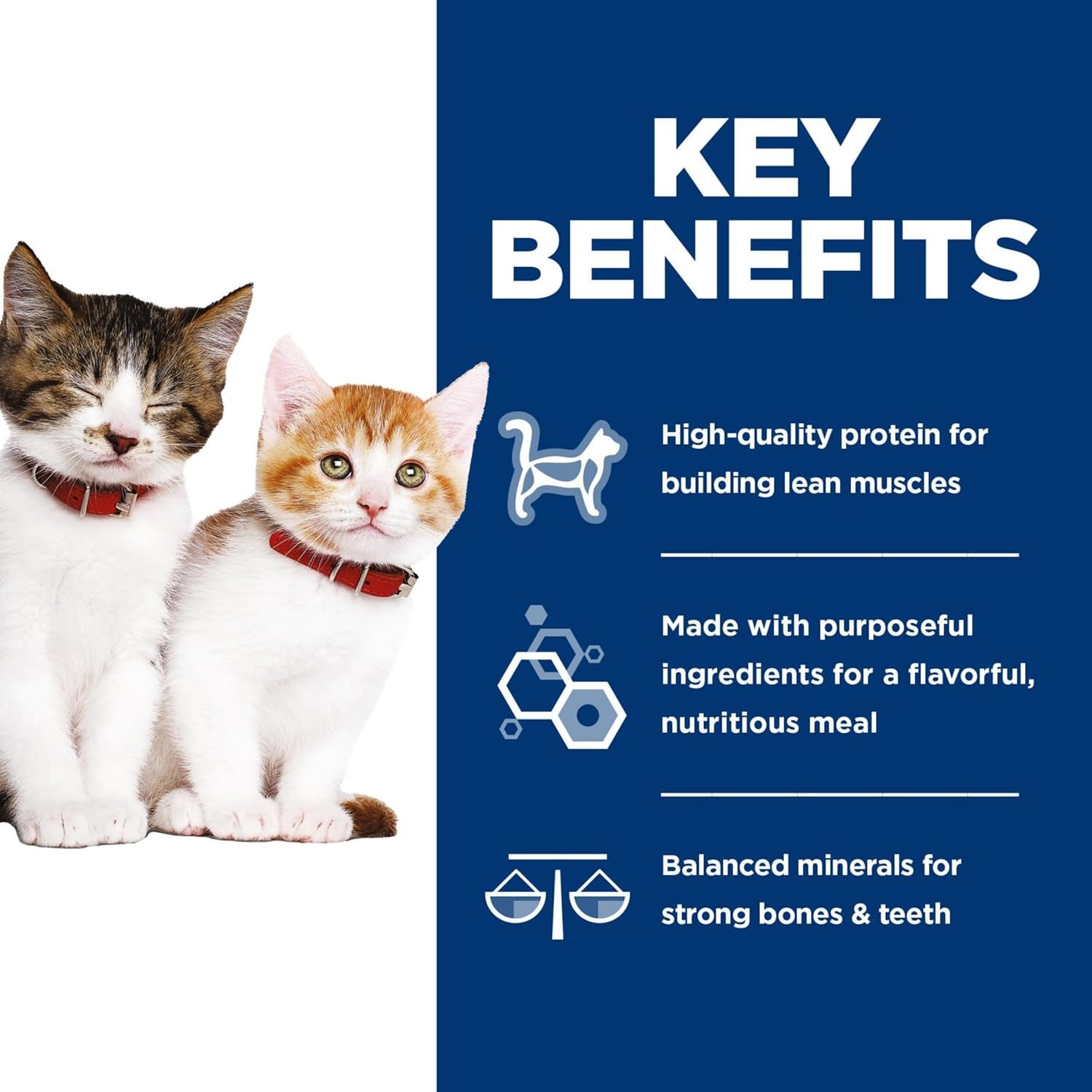 hills-science-diet-kitten-formula-wet-cat-food-variety-pack-1-veterinarian-recommended-liver-chicken-and-minced-salmon-2-9-oz-cans-12-pack