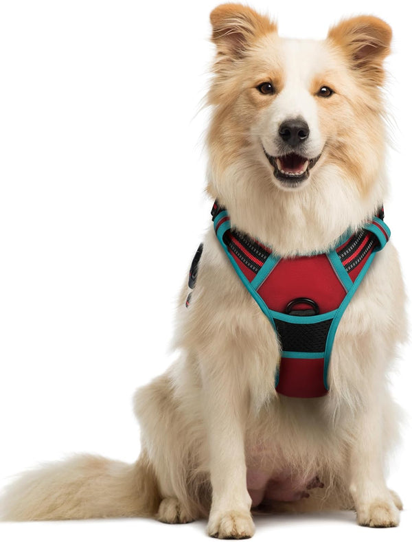 Rabbitgoo Dog Harness, No Pull for Large Dogs with 2 Leash Clips, Pet Vest | No Choke with Handle, Adjustable Soft Padded, Reflective, Easy Control for Walking, Black, Large61