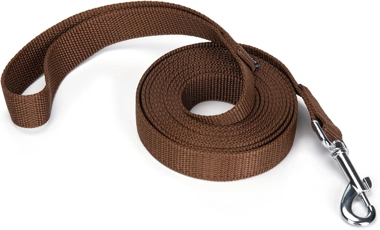 strong-durable-nylon-10ft-long-dog-training-leash-traction-rope-1-inch-wide-for-small-and-medium-dog-black-10-feet