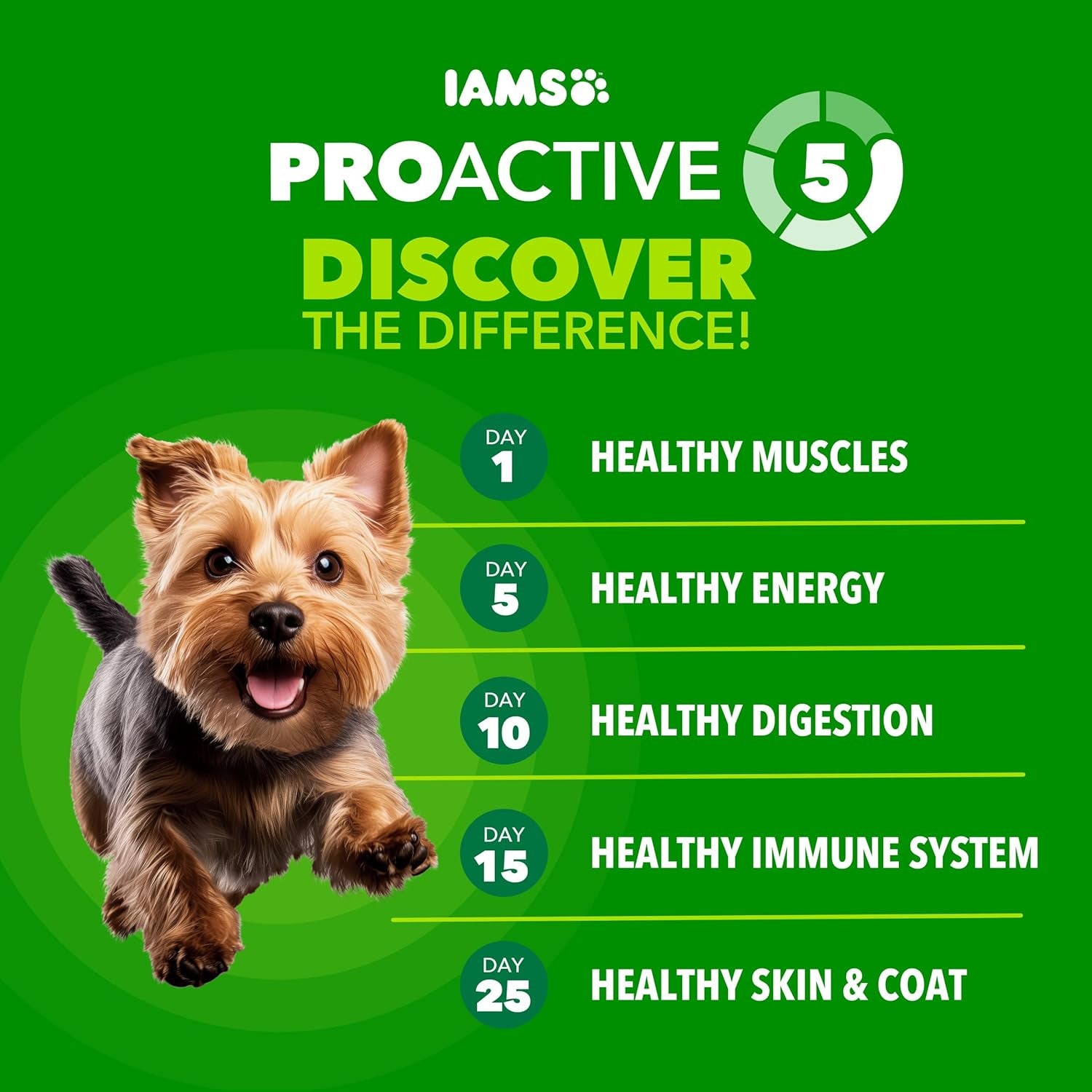 iams-proactive-health-small-breed-dry-dog-food-chicken-grain-15-lb-real-chicken-1-ingredient-small-kibble-for-small-mouths-natural-fiber-prebiotics-no-fillers-or-artificial-flavors
