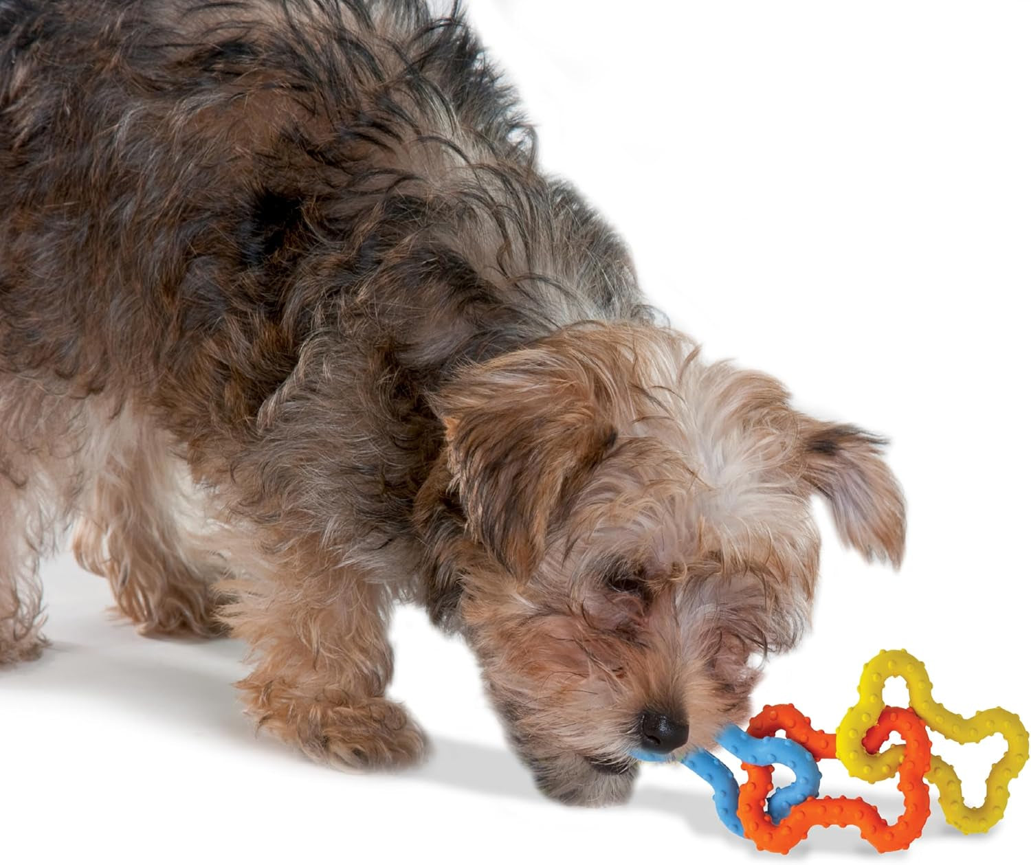 petstages-mini-bone-tug-puppy-chew-toy