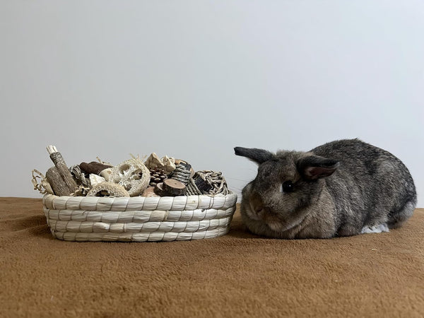31PCS Rabbit Chew Treat Toys for Teeth Health, Natural Bunny Enrichment Toys for Boredom & Stress Relief, Keep Busy Toys for Guinea Pig Chinchilla Hamster Rat Gerbil Degu Indoor Outdoor8