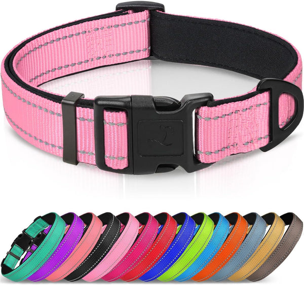 Joytale Reflective Dog Collar, Adjustable Neoprene Padded, Teal L | Breathable Nylon for Large Dogs, No Chafing on Walks and Outdoor Hikes, Tear-Resistant Webbing, Metal D-Ring, Night Safety21