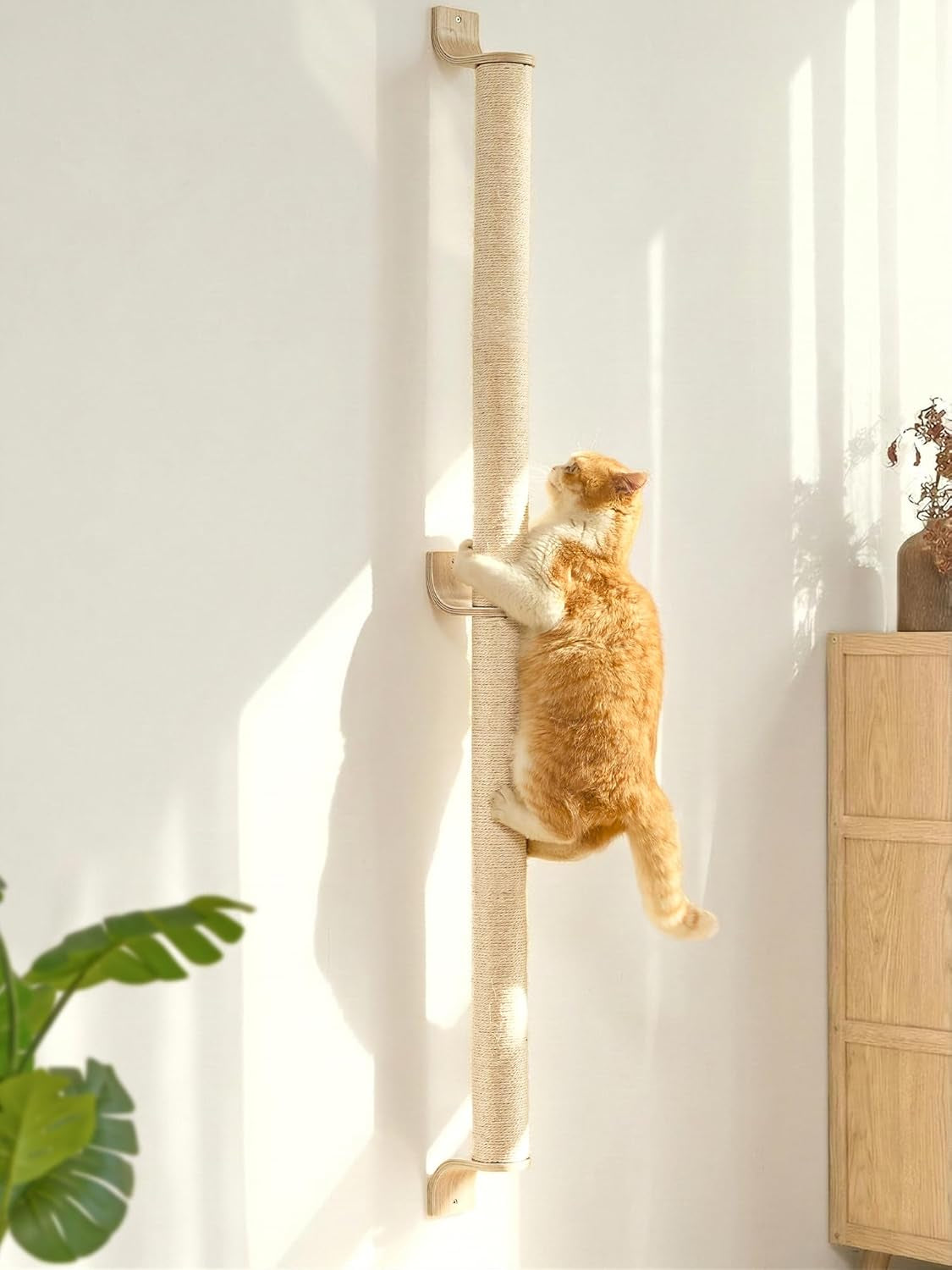 fukumaru-cat-wall-scratcher-60-tall-kitten-scratching-post-natural-sisal-pole-wall-mounted-climbing-tree-for-indoor-large-cats