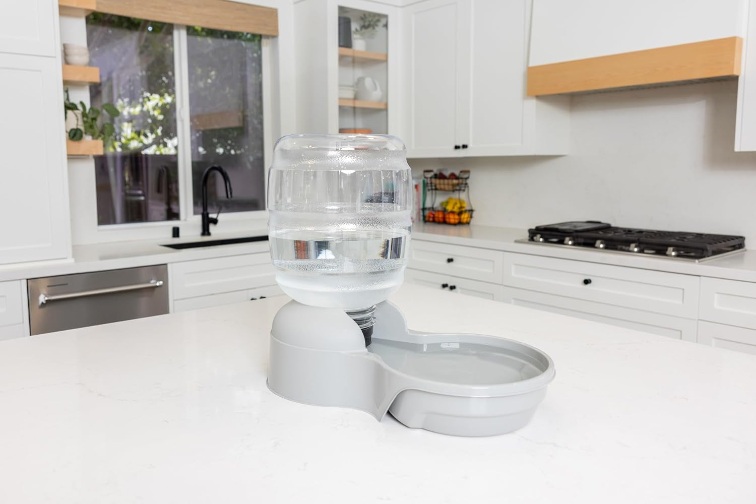 petmate-aspen-pet-lebistro-cat-and-dog-water-dispenser-made-in-usa