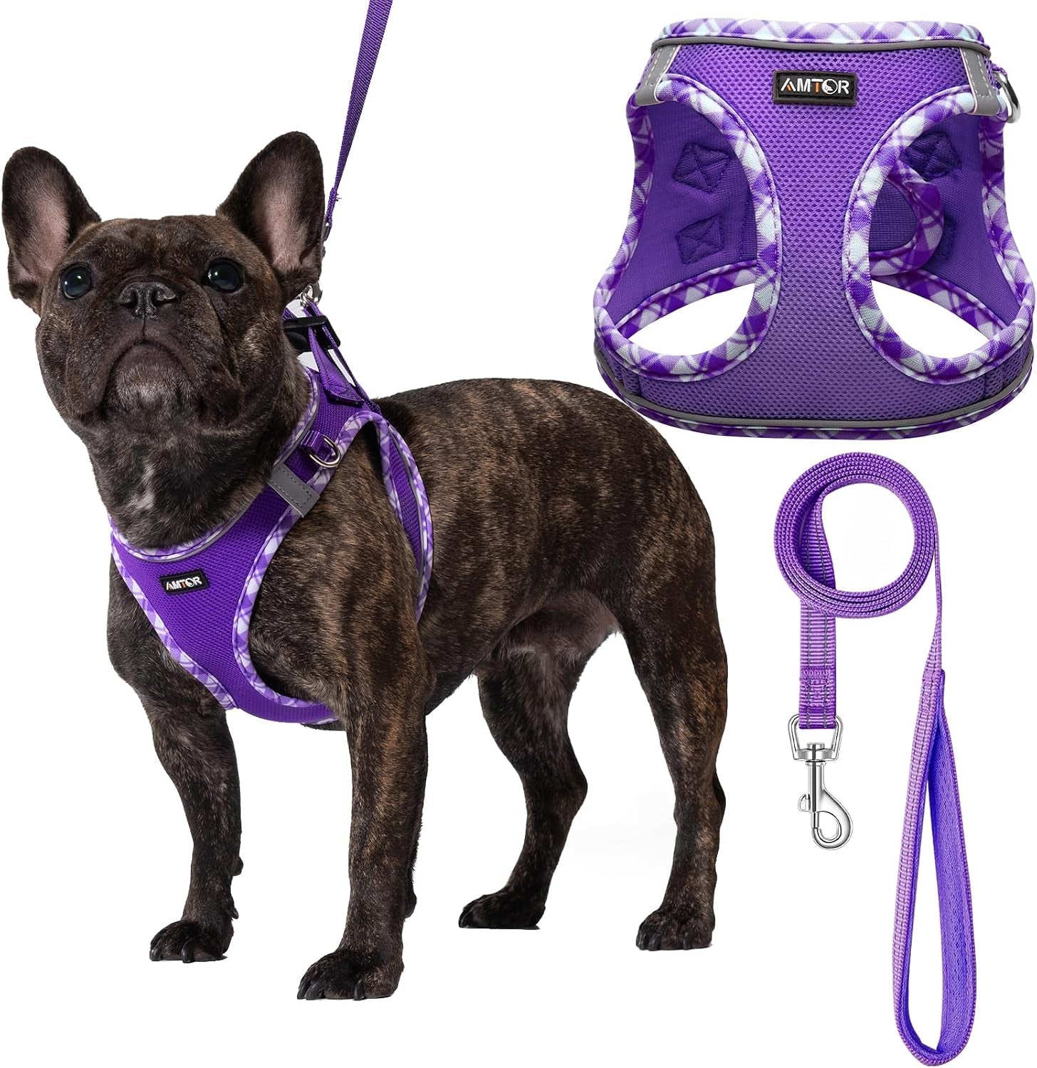amtor-small-dog-harness-with-leash-set-no-escape-easy-walk-puppy-harnesses-for-training-walking-step-in-reflective-soft-dogs-vest-for-xs-s-medium-extra-small-large-sized-doggreen-s