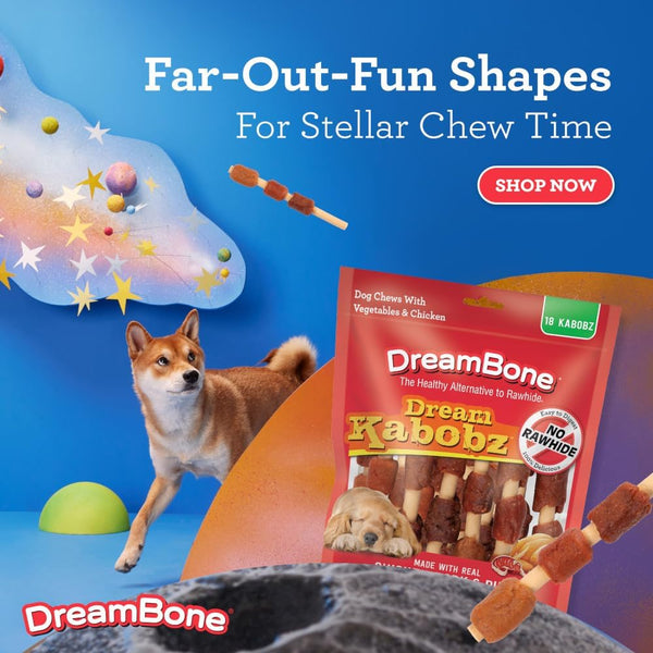 Dreambone Kabobz Dog Treats, Daily Rawhide-Free Chew, Digests Safely and Completely, with Real Protein, Chicken, Duck, Pork and Veggies, 18 Count6