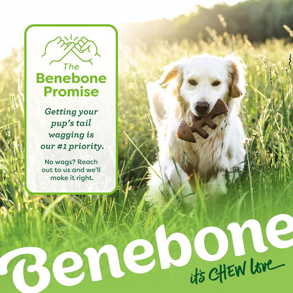 Benebone Small 4-Pack Dog Toys for Aggressive Chewers – under 30 Lbs7