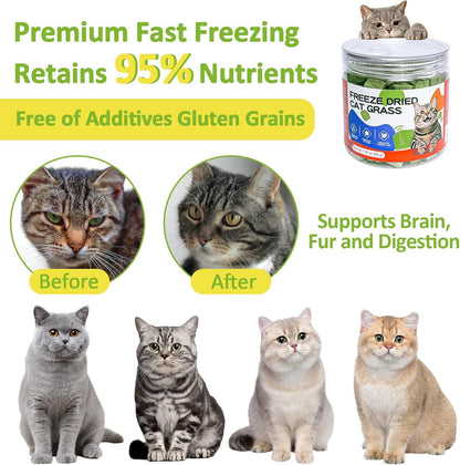 Freeze-Dried Cat Grass Treats with Premium Gourmet Blend - Natural Hairball Control & Gut Health Support for Cats (Chicken Breast Formula, 1.76 Oz)5