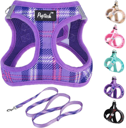 PUPTECK Dog Harness and Leash Set for Small Medium Dogs No Pull Step-In Soft Mesh Puppy Cat Vest Harnesses Reflective at Night, Green S23