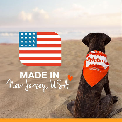 Nylabone Original Bone Power Chew Toys for Dogs, Durable & Tough Dog Toys for Aggressive Chewers, Long Lasting Chicken, Bacon, and Peanut Butter Flavor, Small - up to 25 Lbs, 1 Count | Peanut Butter, Chicken, and Bacon Flavor, Durable Dog Toys for Aggressive Chewers, Helps Clean Teeth, for Dogs up to 25 Lbs8