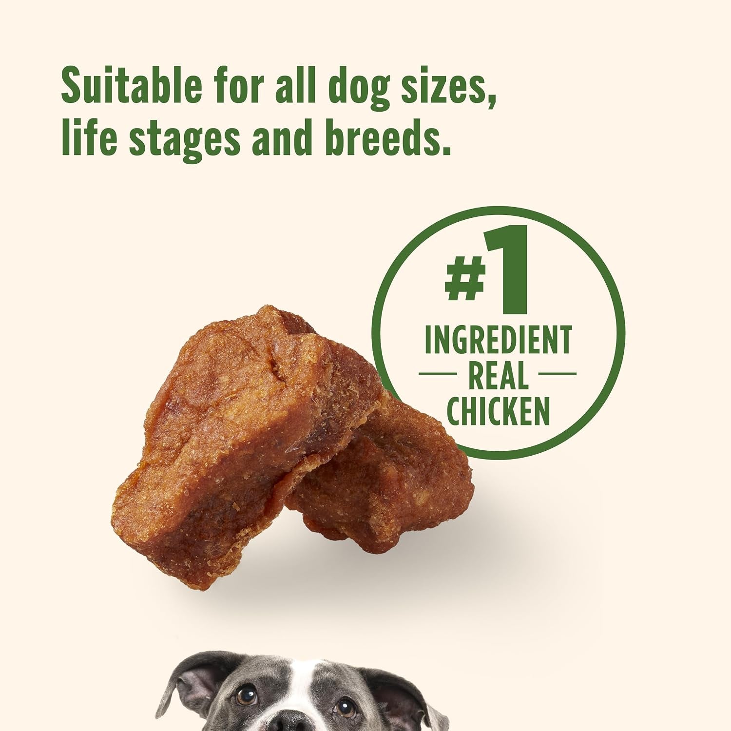 nutrish-savory-roasters-dog-treats-with-chicken-30-oz-pouch-rachael-ray-grain-free-recipe-with-no-added-corn-or-soy-ingredients-veterinarian-reviewed-formula-resealable-bag