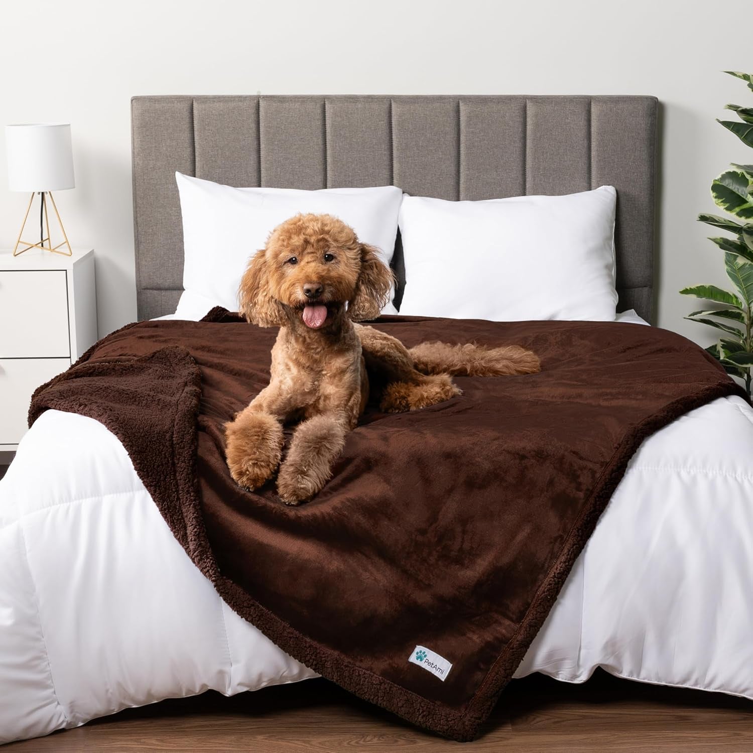 petami-waterproof-dog-blanket-for-couch-extra-large-80x60-pee-proof-sherpa-fleece-reversible-pet-throw-furniture-protector-for-bed-sofa-crate-kennel-soft-washable-cover-for-dog-cat-grey-sherpa