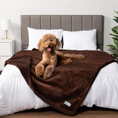 Petami Waterproof Dog Blanket for Couch, Extra Large 80X60, Pee Proof Sherpa Fleece Reversible Pet Throw, Furniture Protector for Bed Sofa Crate Kennel, Soft Washable Cover for Dog Cat, Grey Sherpa27