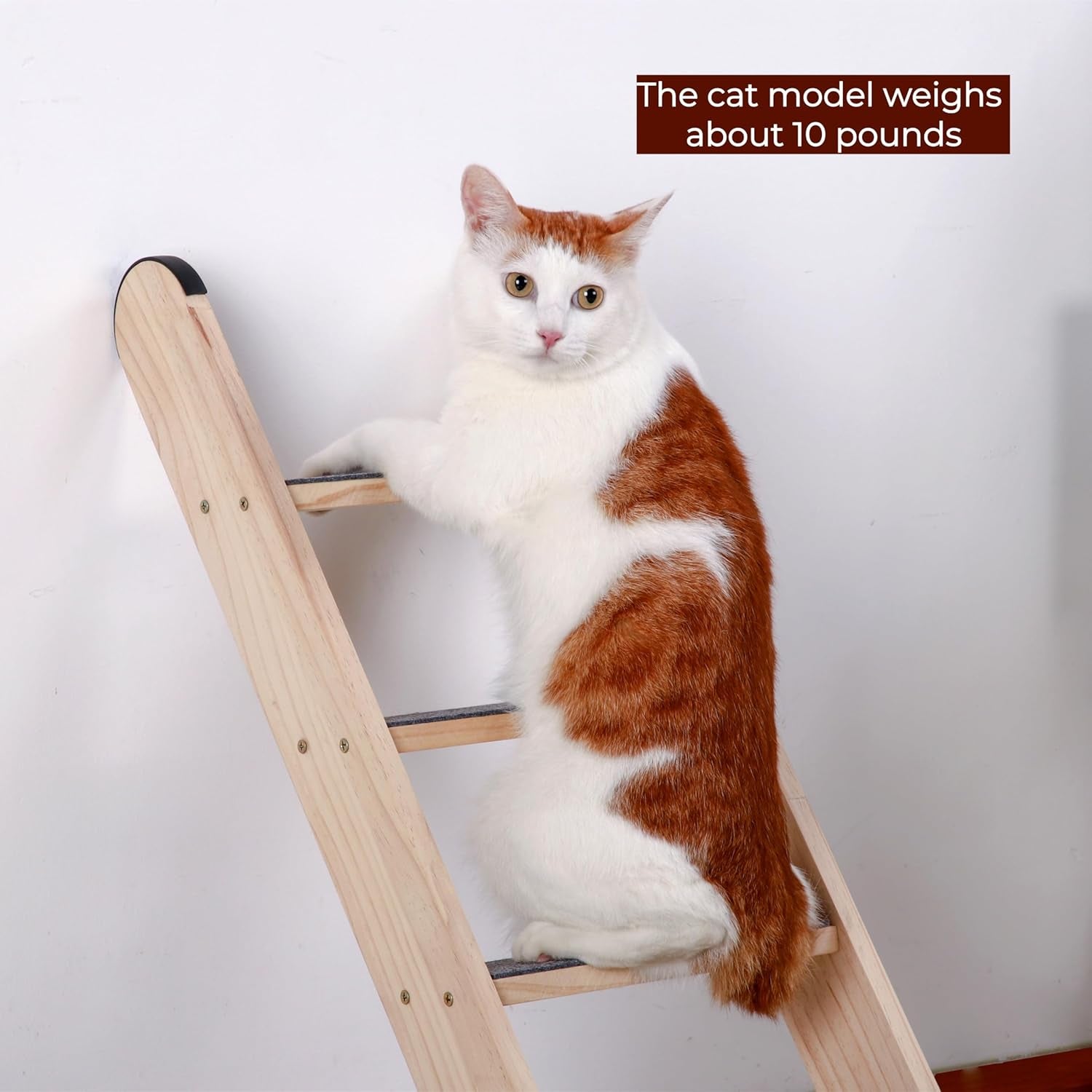 shengocase-solid-wood-wall-leaning-cat-ladder-for-indoor-cats-and-small-medium-dog-stair-step-for-window-bed-wall-climbing-furniture-47-2