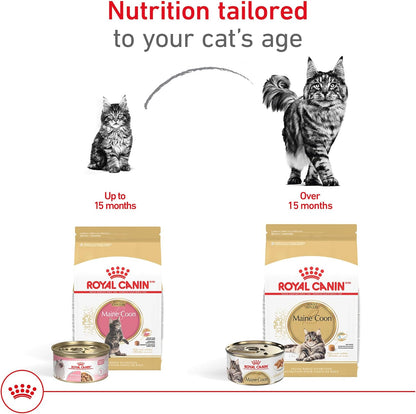 ROYAL CANIN Feline Breed Nutrition Maine Coon Adult Dry Cat Food, 6 Lb Bag5